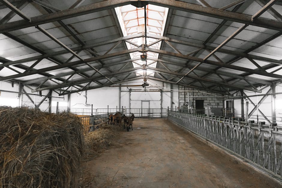 Converting Your Barn: What You Need to Know